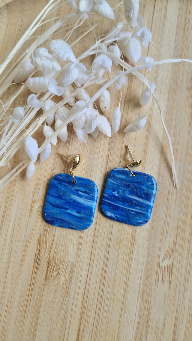 Luxueuse / boucles d'oreilles 