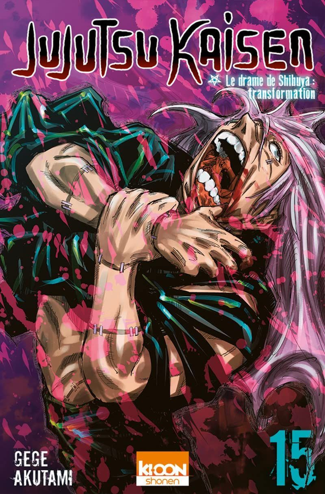 Jujutsu Kaisen Tome 15 