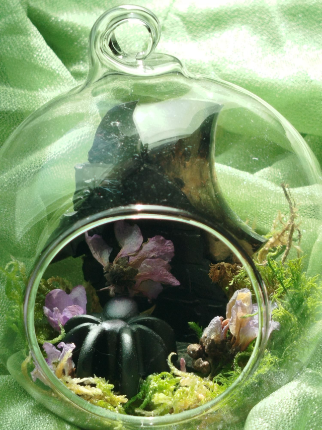 Boule araignée et chauve souris 