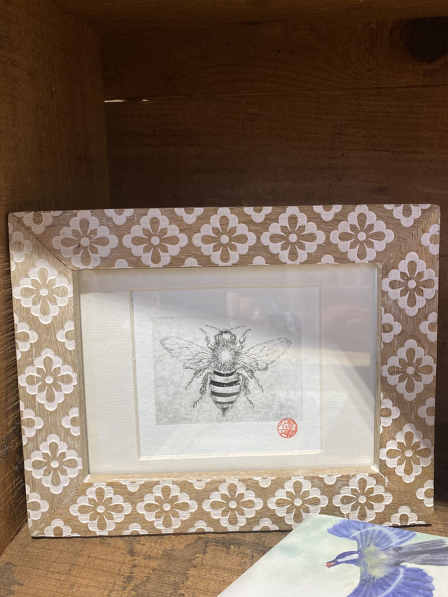 Pack de Noël - Gardiens du jardin