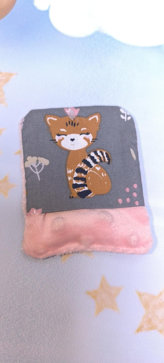 Débarbouillette chat