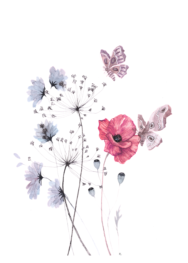 Carnet A5 ligné - Coquelicot et papillons de nuit