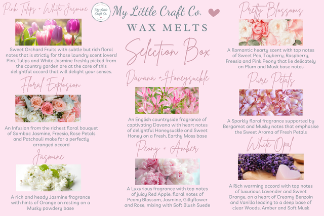 Wax Melts Selection Box of 16 Highly Scented Wax Melts, 2 of each Scent