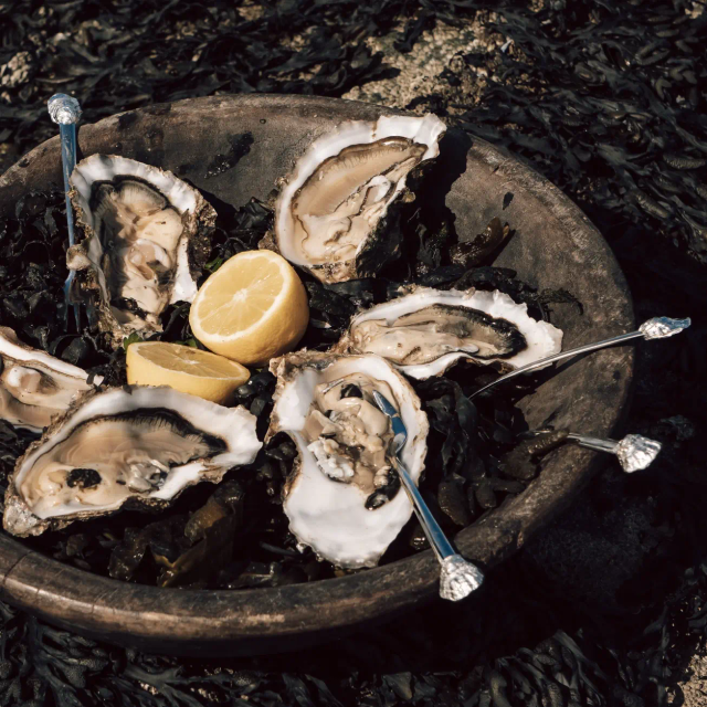 Oestervorkjes - Anovi