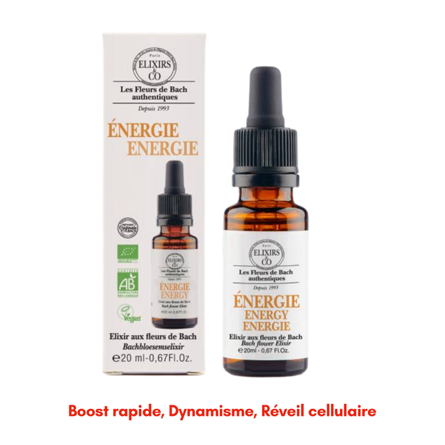 Élixir ~ Énergie
