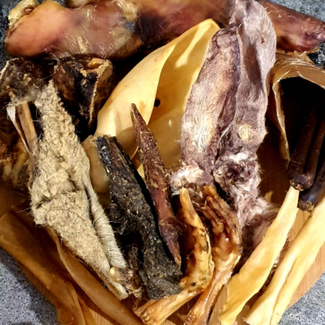 Larger Dog Treat Box🐶🎁🐶