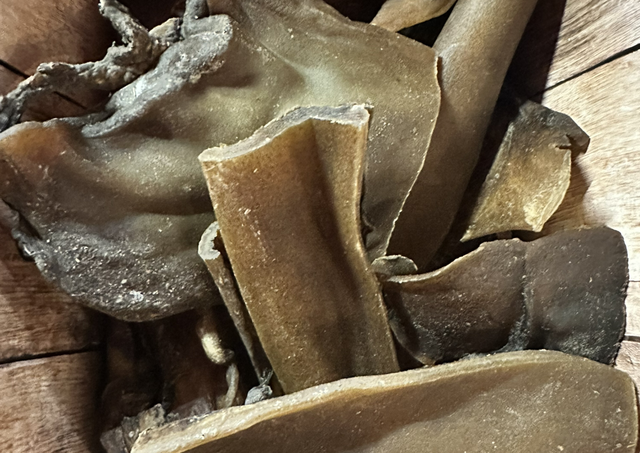 Kamelen kophuid kort 