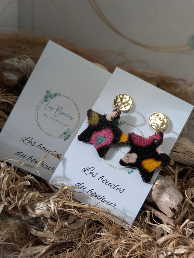 Boucles d'oreilles Petite étoile Graou multicolore st21