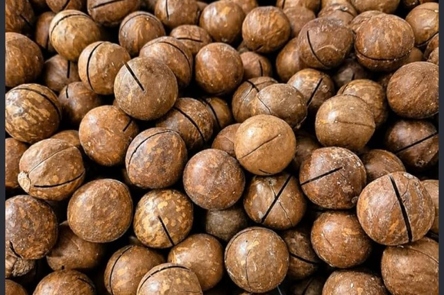 MACADAMIA in guscio tostato aromatizzato caffè 