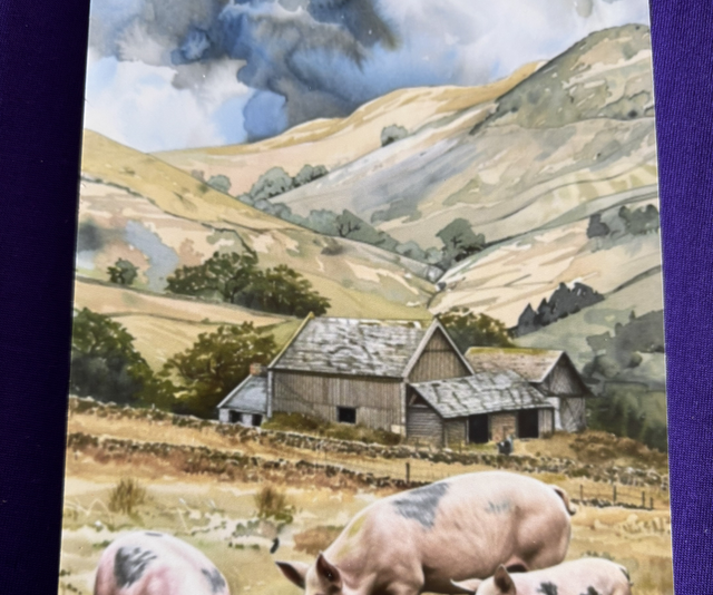 Plain Note Pad Pigs in fields