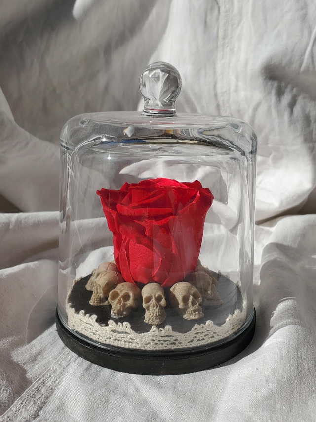 D06 Rose rouge sur crâne