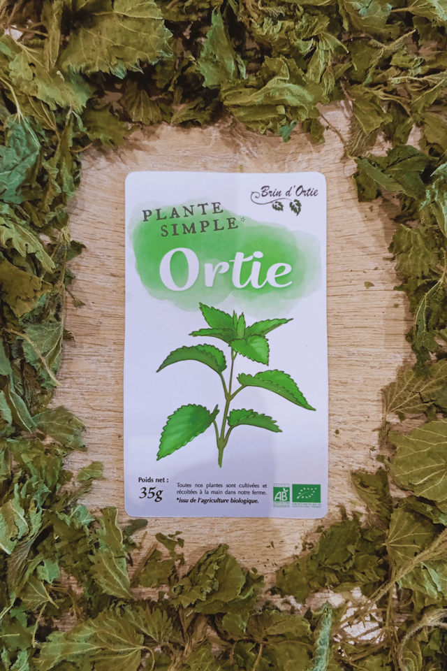 Plante simple, Ortie