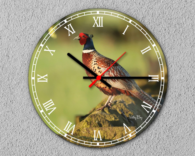 “Rufus Pheasant” Clock    