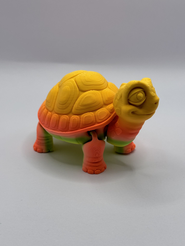 Tortoise