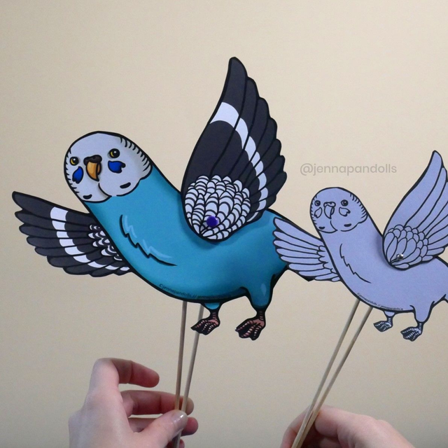 Budgie (Our favourite pets)