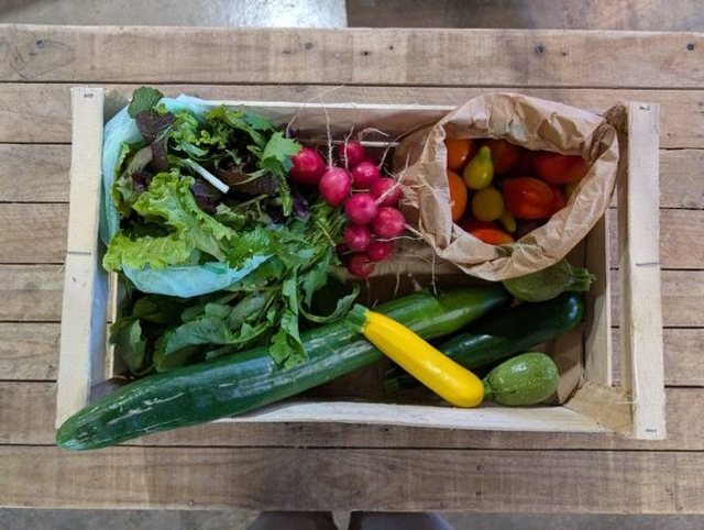 Panier de légumes de saison, bio