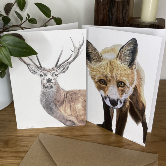 Animal Card Collection