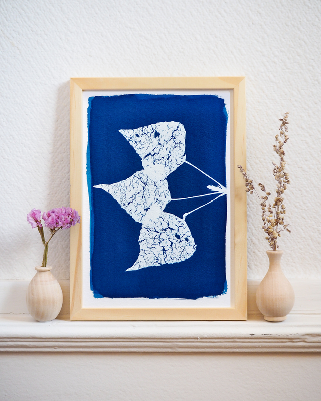 Squelette de feuilles mortes