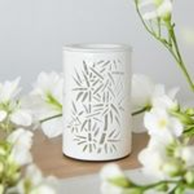 Diffuseur par Chaleur Douce CALORYA N° 5