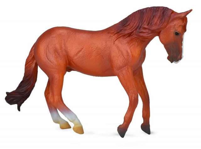 Collecta Pays du cheval >  Chevaux - Échelle 1:20    88712  Étalon australien de race alezan