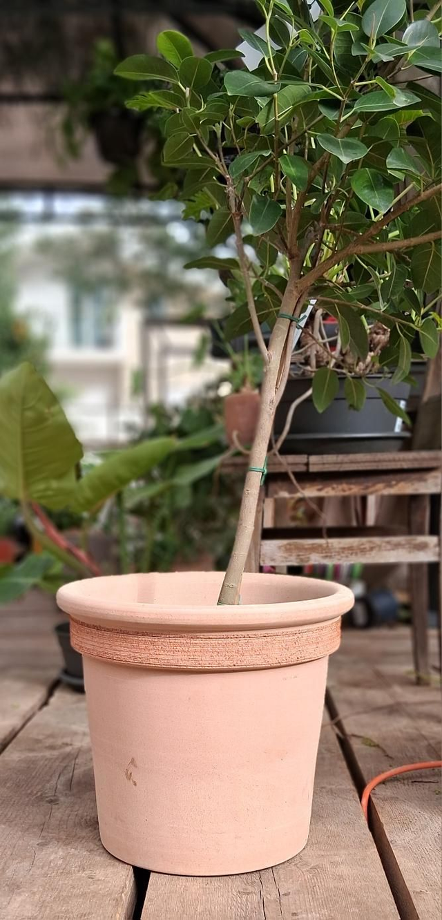 K30 . Vaso 'Milano graffiato' 33