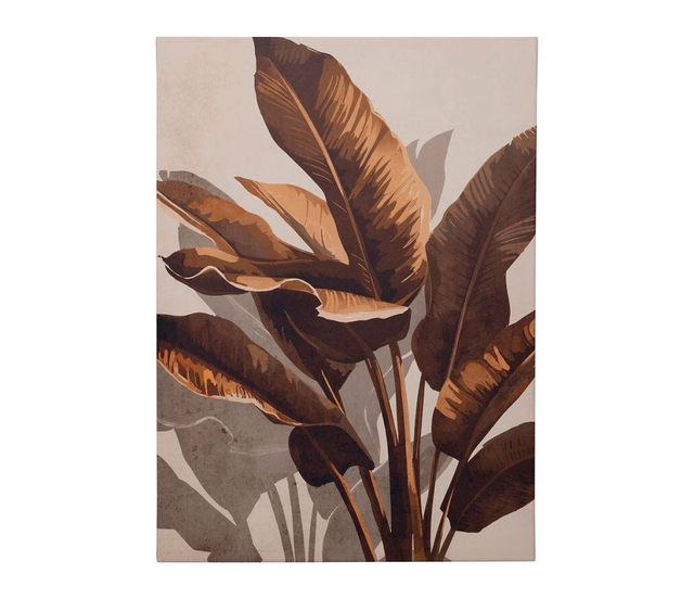 TABLEAU STRELITZIA TERRE 50X70CM