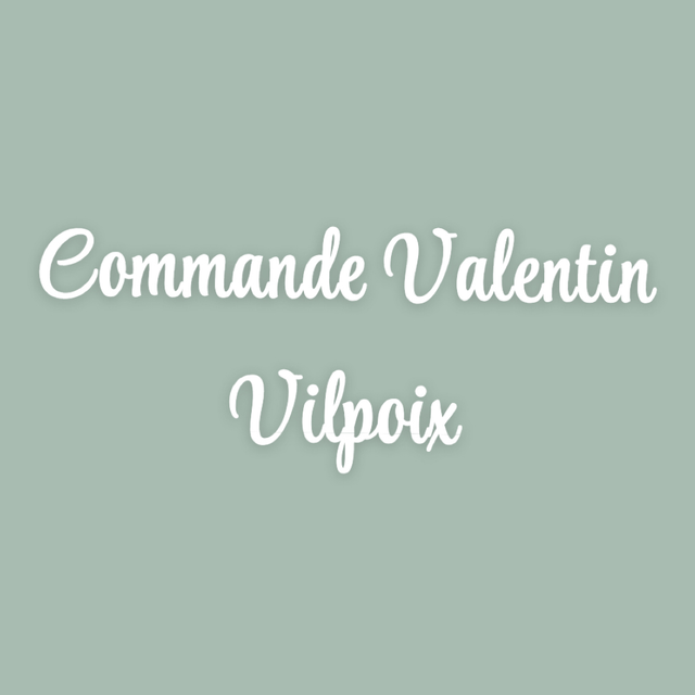 Commande Valentin vilpoix 