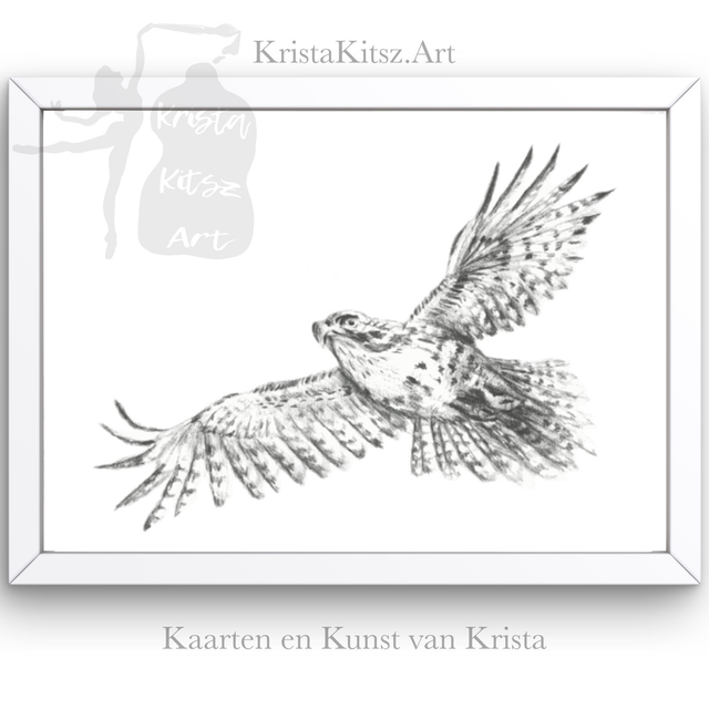 Adelaar nr 2, print van grafiet potlood tekening Krista Kitsz 