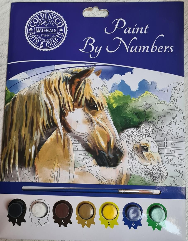 Paint by numbers horse and foal Colvin &amp; Co