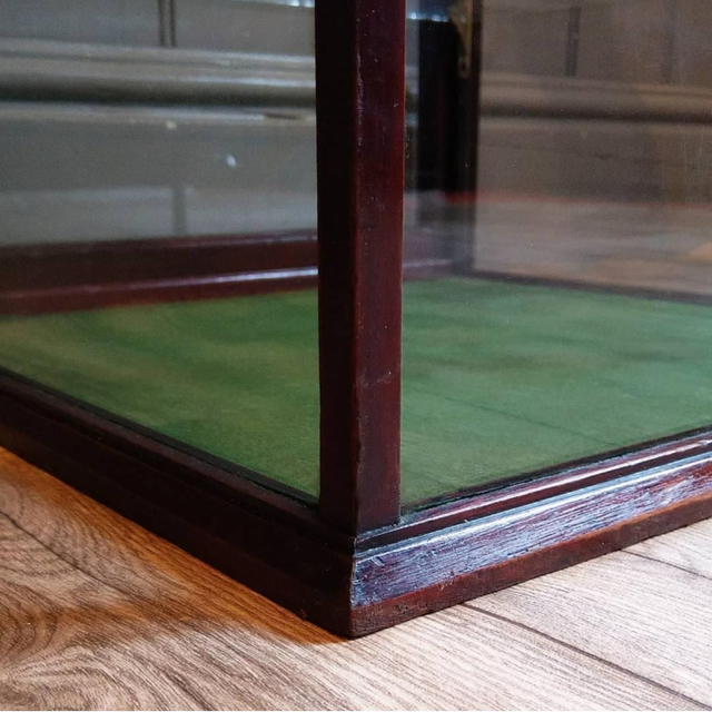 Edwardian Mahogany Shop Display Cabinet