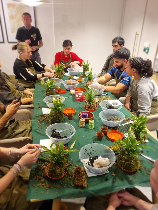 Kokidoki Kokodama workshop 15th Jan 6.30-8.00pm