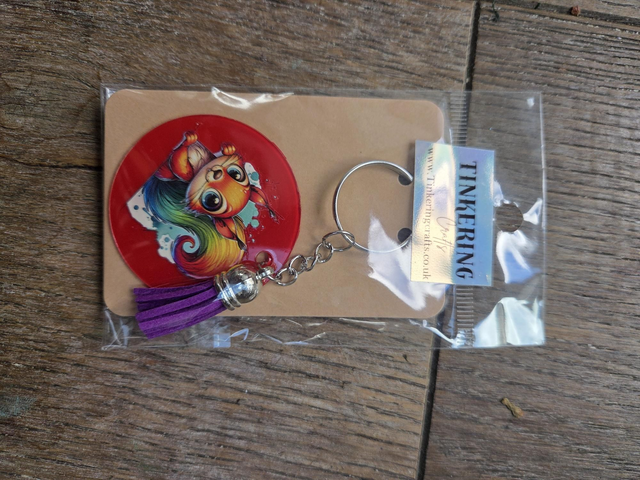 Plastic Round keyring