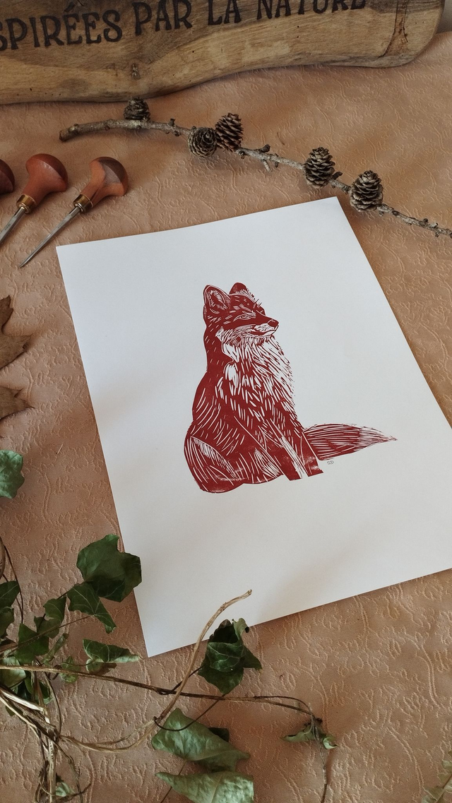 Illustration Renard assis, en linogravure, couleur terre de sienne brulée