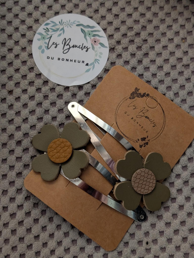 Barrette b021