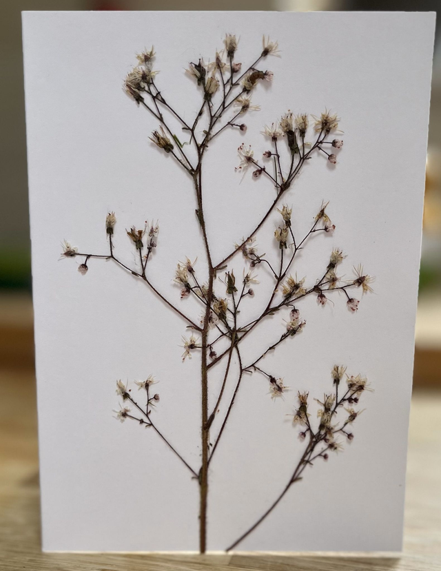 London Pride Flowers Greeting Cards