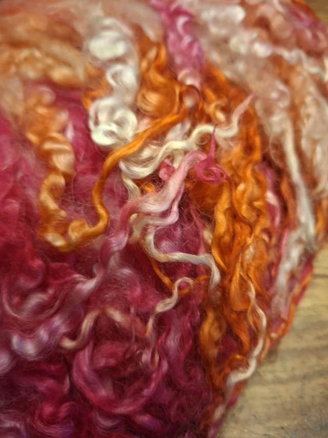 Teeswater teinte main 148g  BOUCLES01110 