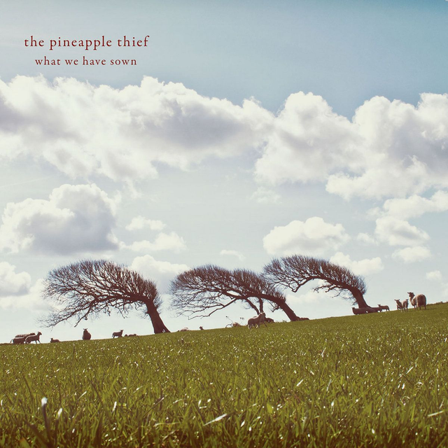 The Pineapple Thief - What We Have Sown [CD]/VSN