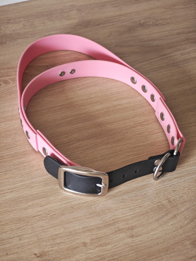 Collier biothane avec poignée intégrée