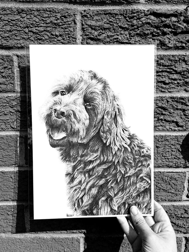 Cockapoo A4 Print