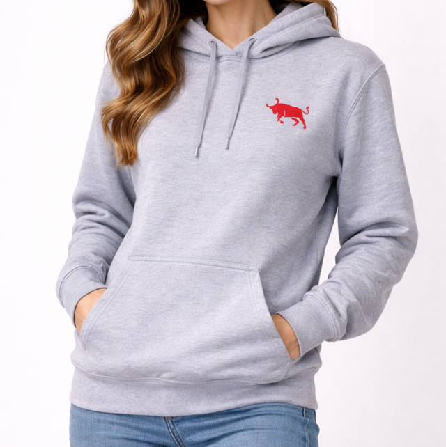 Sweat-shirt a capuche gris