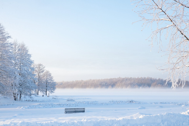 Maisema rantapuistosta vaalea (valokuva)