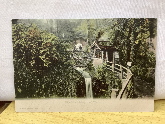 Shanklin Chine, Isle of Wight, vintage F.G.O. Stuart Postcard. Our Ref No. R883 £2.00