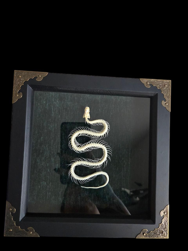Snake Skeleton Green 