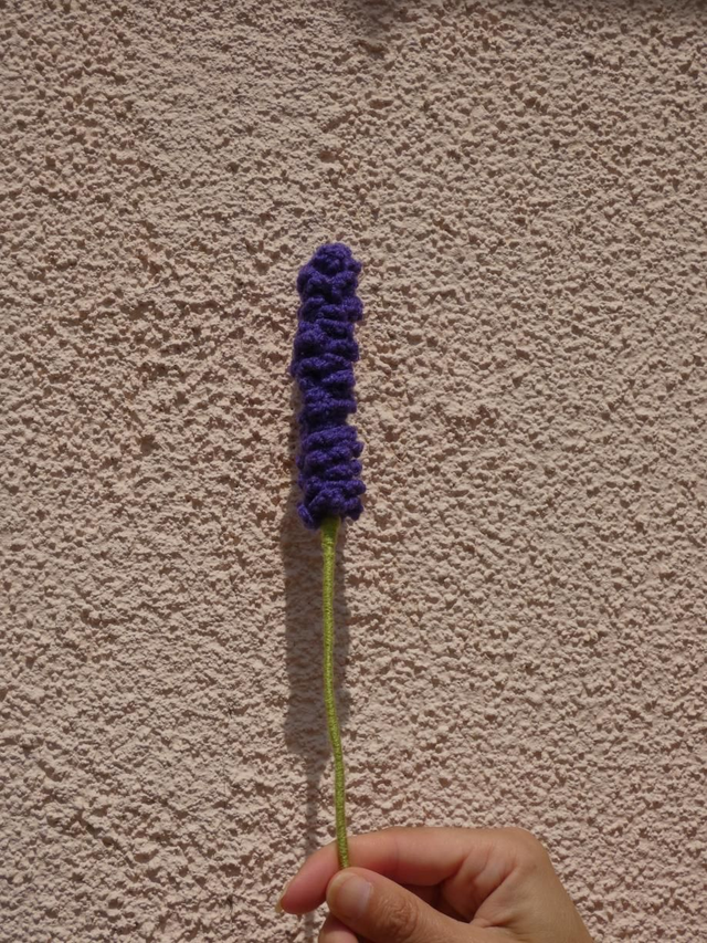 Lavande violette foncé