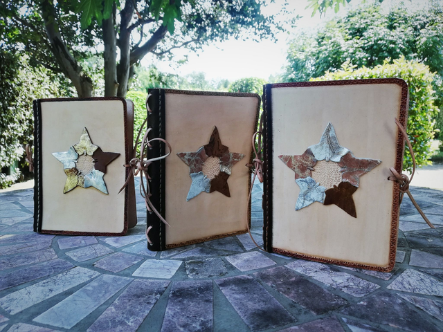 Carnet étoile de lierre