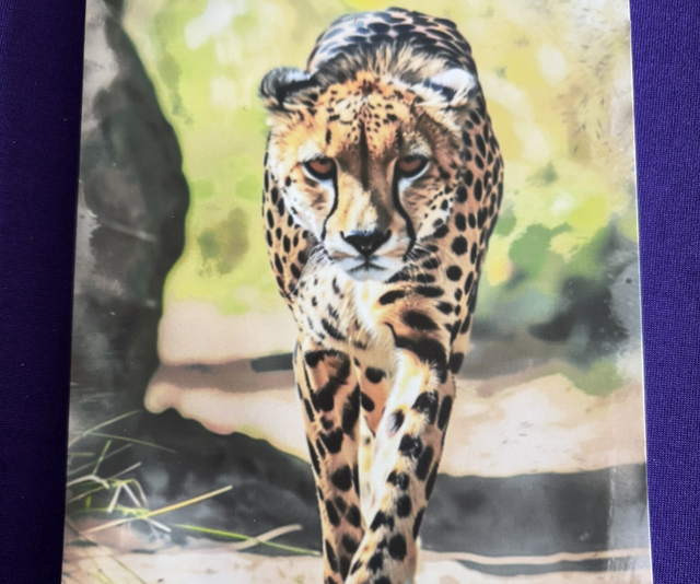 Plain Note Pad Cheetah