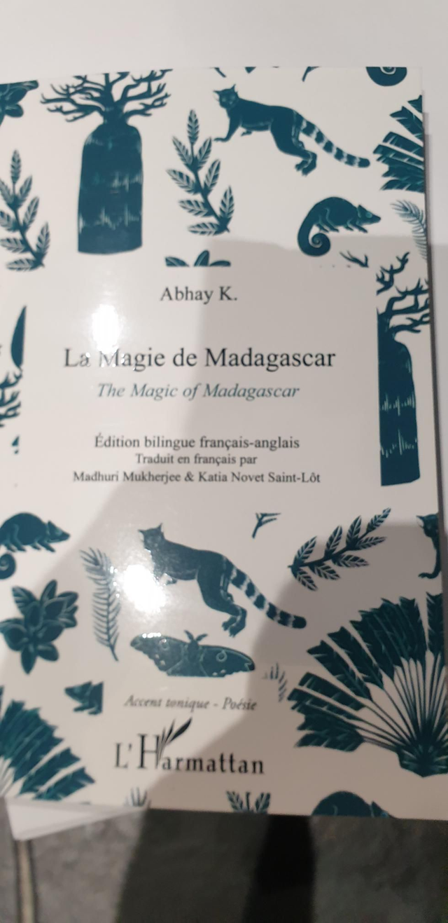la magie de mada