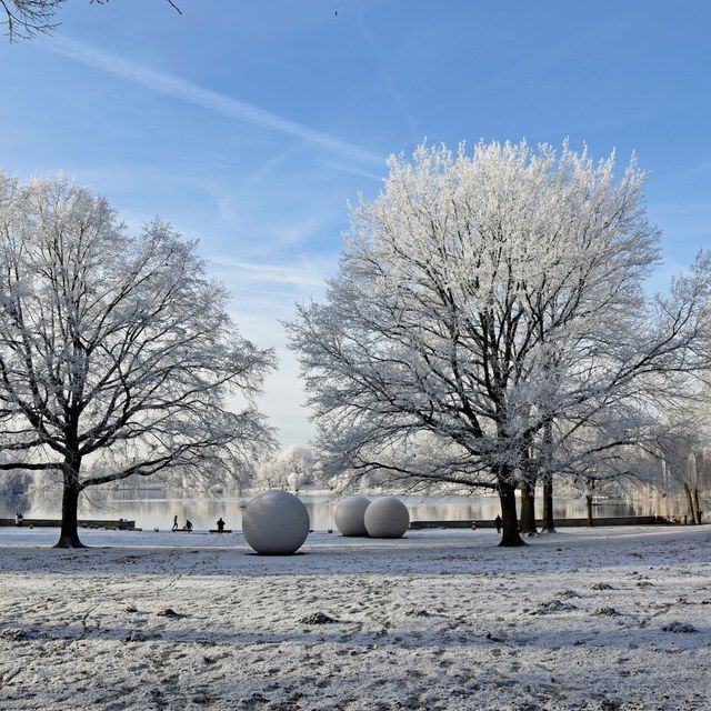 Aaseewiese im Schnee