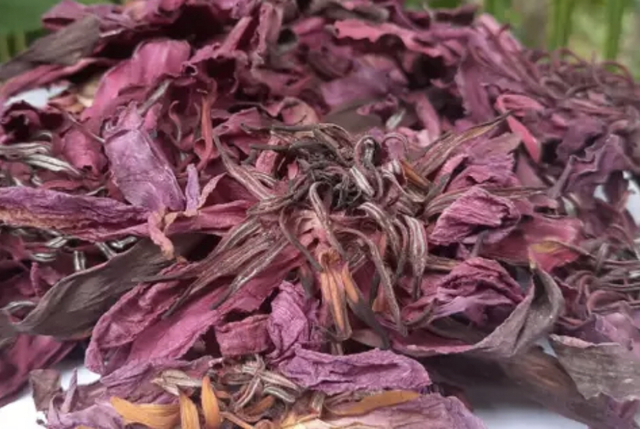 Dried RED LOTUS (Olu Nymphaea caerulea ) Organic Herbal Hand Picked Flowers