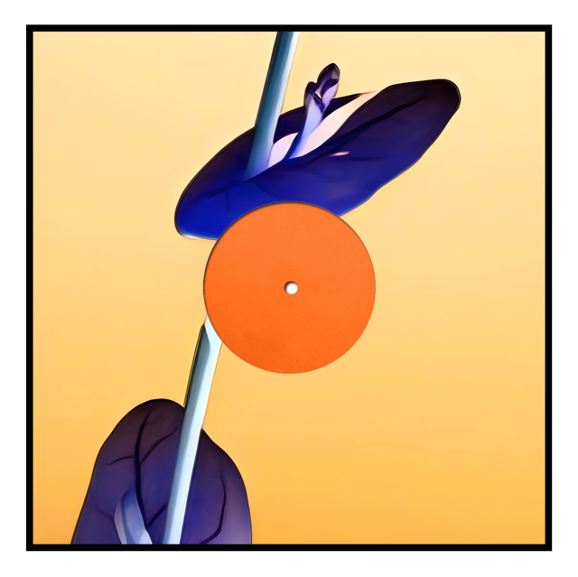 Offset Cover 003